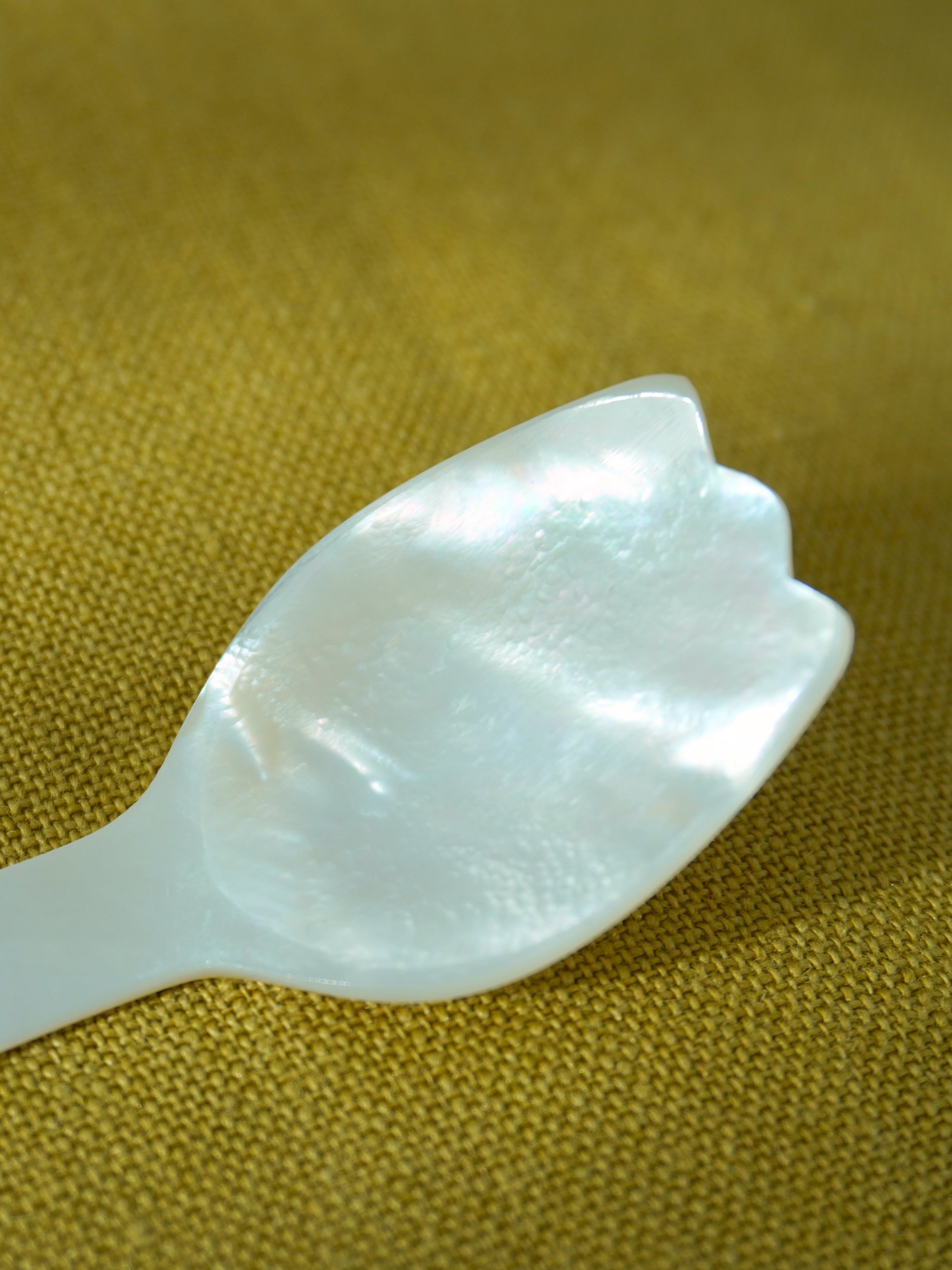 tulip mother of pearl spoon