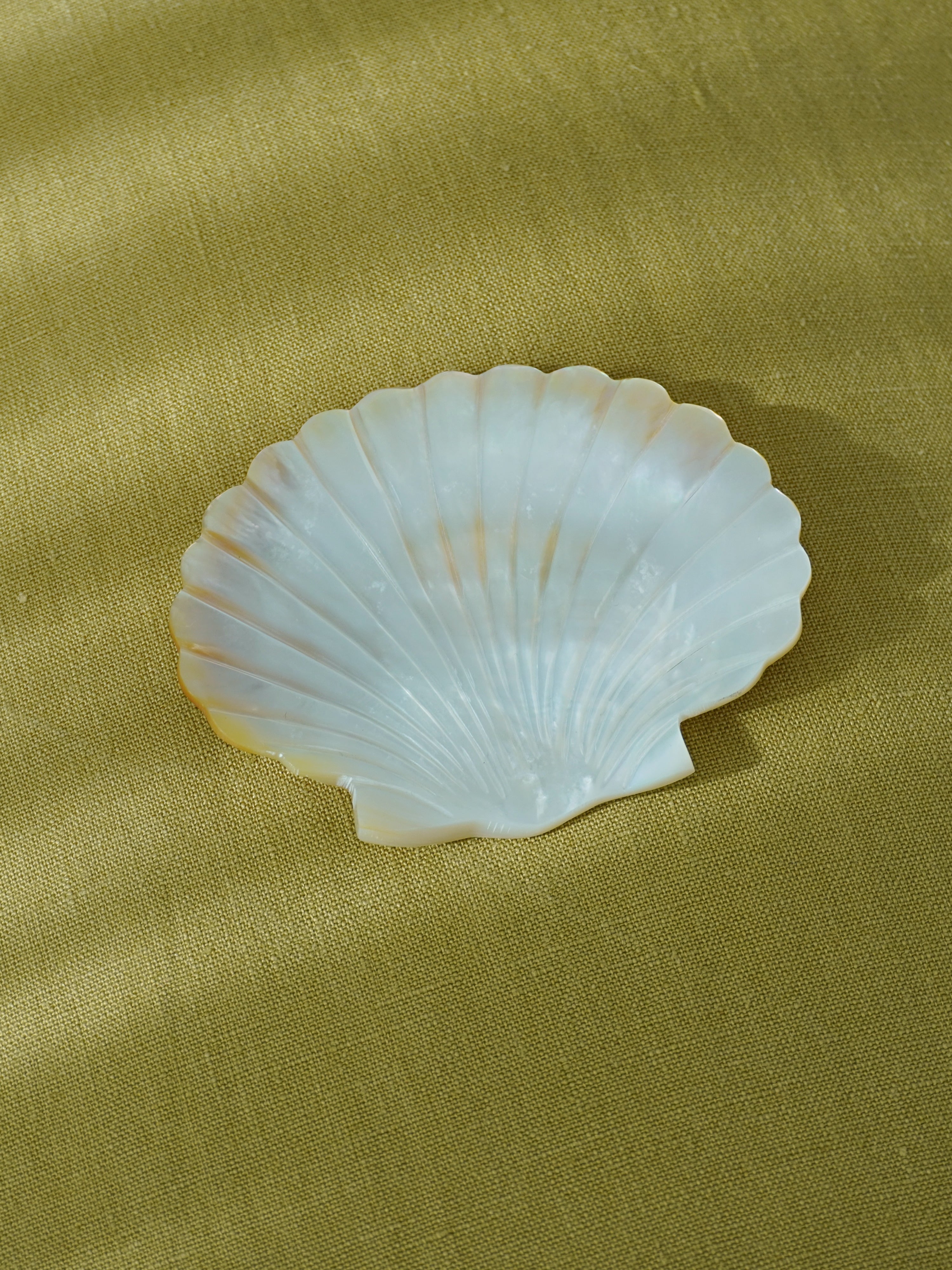 shell shaped mother of pearl dish