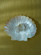 shell shaped mother of pearl dish