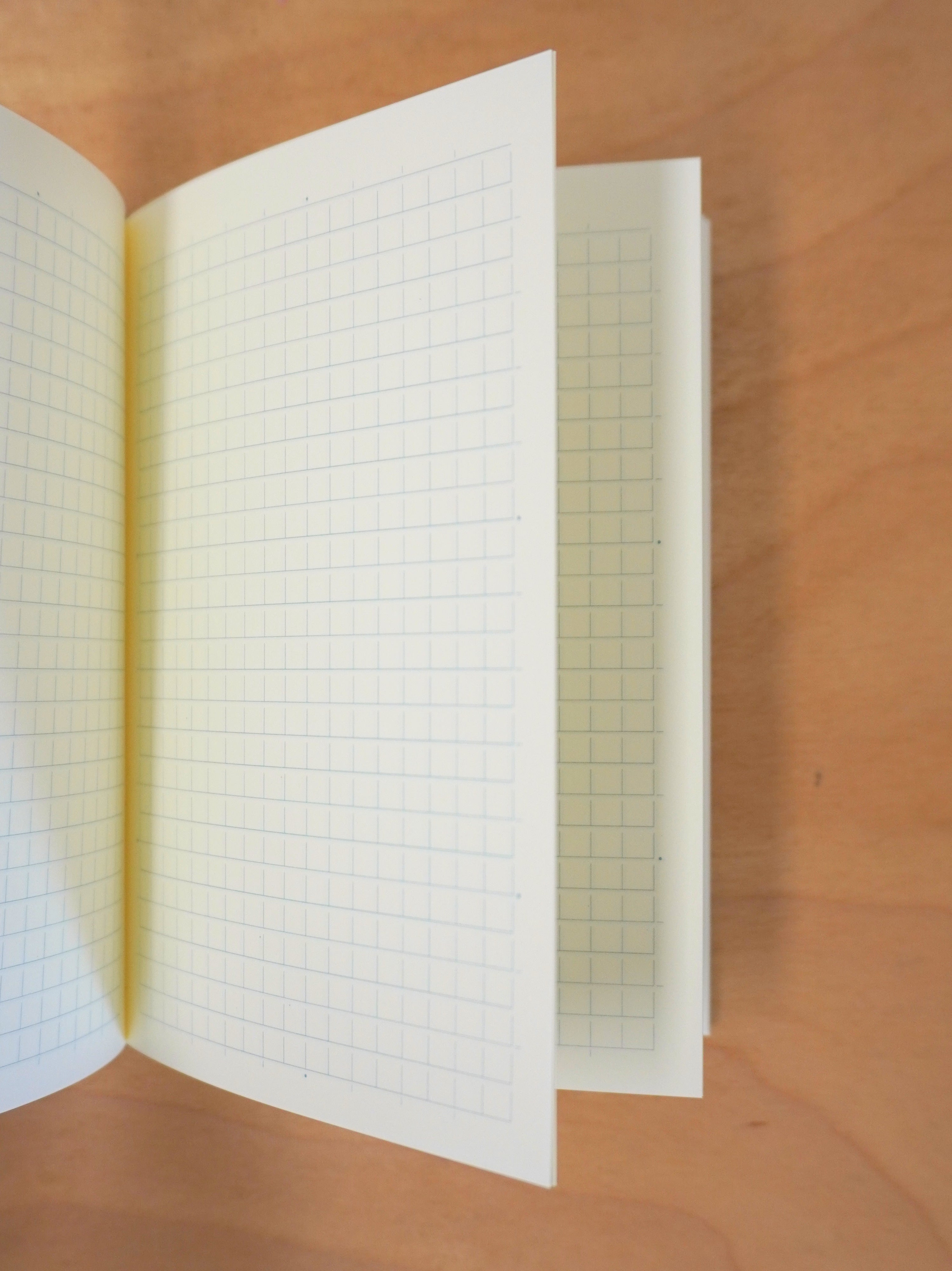 MD Notebook A6 - Grid