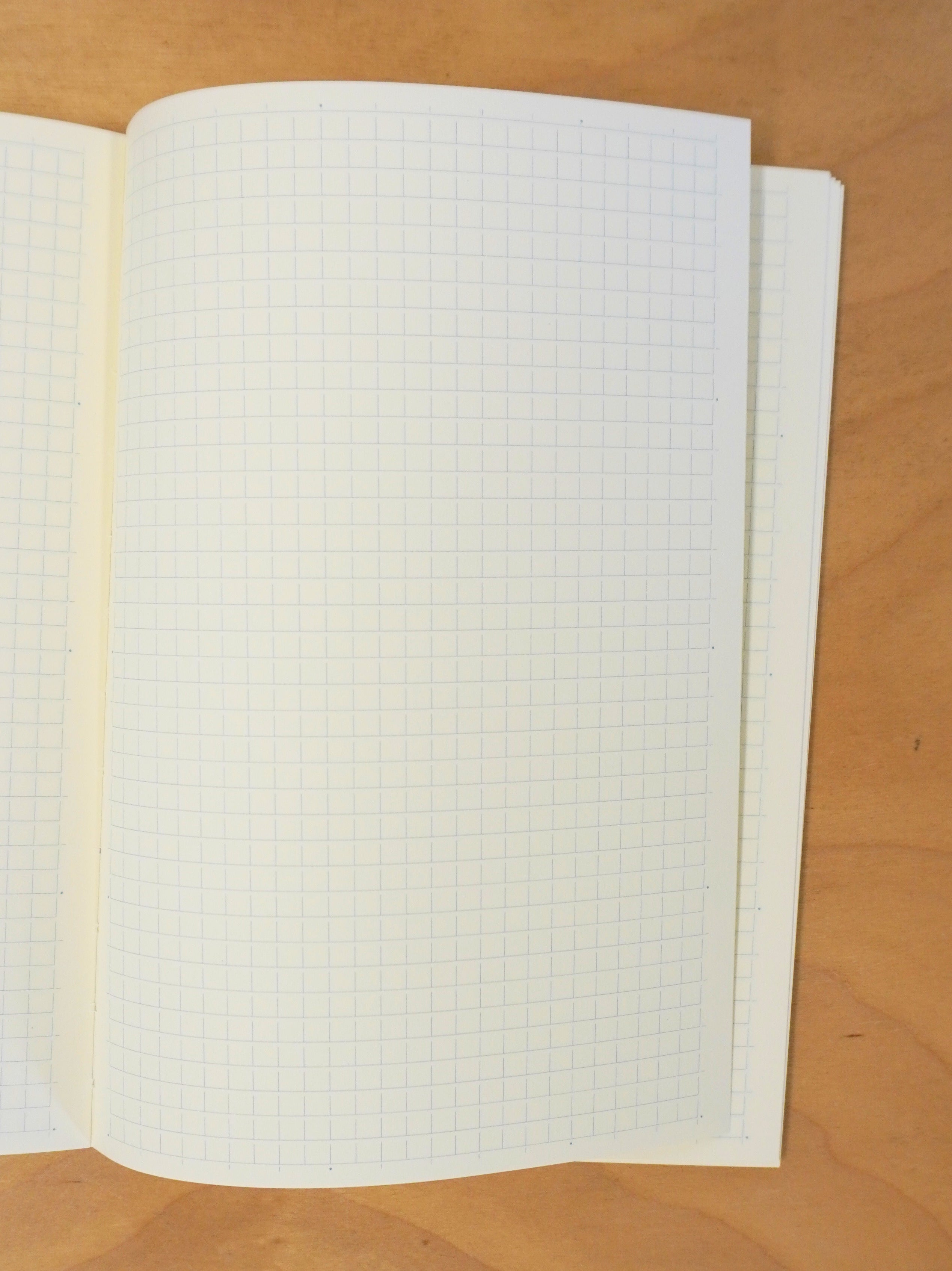 MD Notebook A5 - Grid