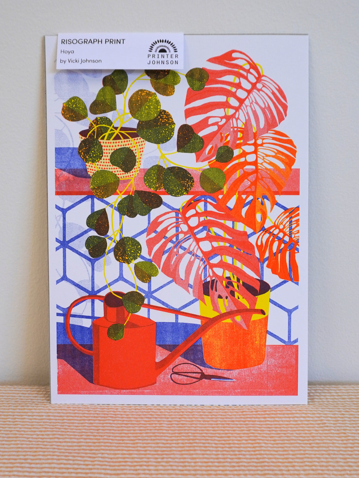 Hoya - A4 risograph print