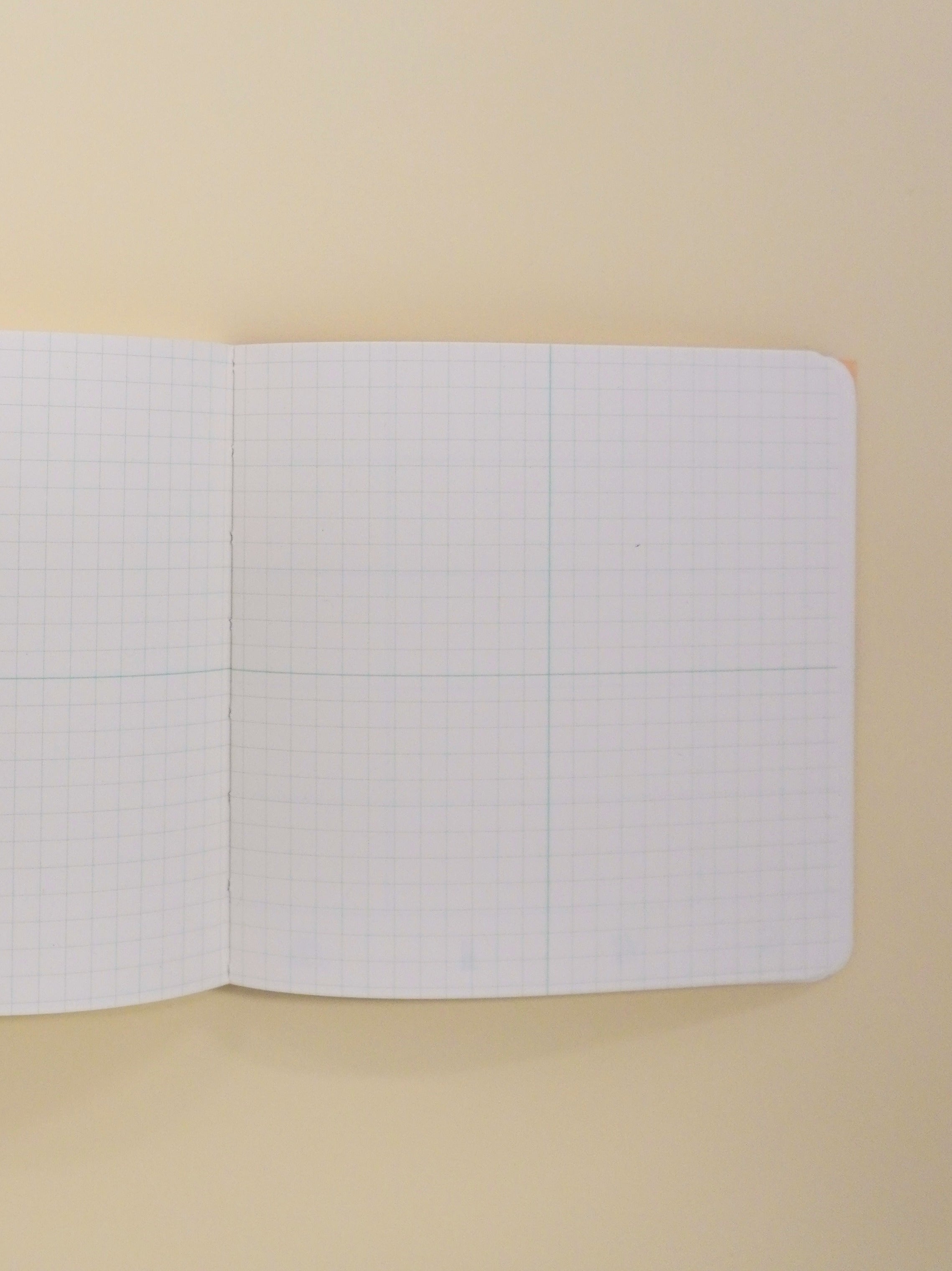 peace & luck diary